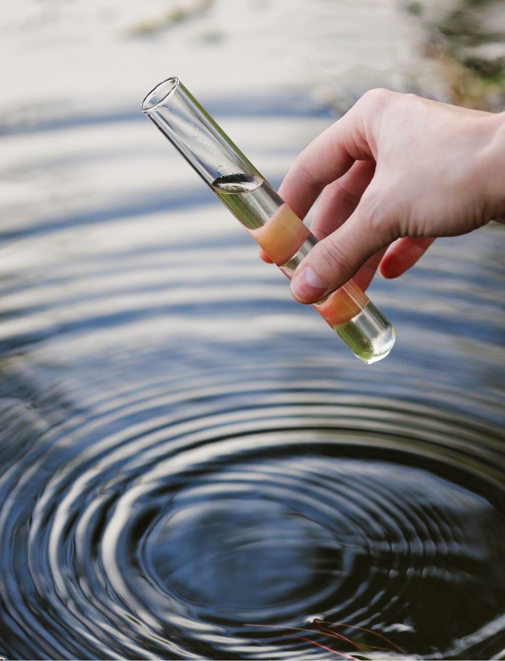 Water sample. Hand collects water to explore. Concept - water purity analysis, environment, ecology. Water testing for infections, permission to swim. selective focus, place for text.